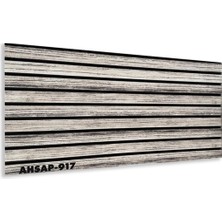 AHSAP-917