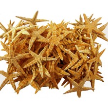 Deniz Yıldızı Natural 3  cm  - 4.5  cm  (100 Adet)