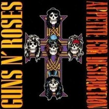 Guns N Roses - Appetite For Destruction Plak Rock Müzik Türü 1 LP Formatında