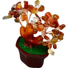 Karnelyan Doğal Taşlı Bonsai Hayat Ağacı – Enerji, Tutku ve Motivasyon Kaynağı!