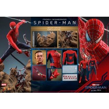 Hot Toys - Friendly Neighborhood Spider-Man (Deluxe Version) Sixth Scale Figure