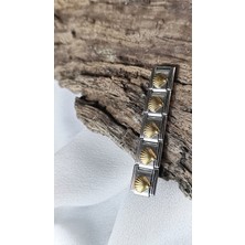 Luna Jewelry Golden Shell 316L Çelik Nomination Charm