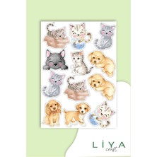 5'li Sevimli Kedi Sticker Set