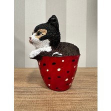 Fincandaki Kedi, Dekoratif Tasarım Obje, Kedi Biblosu