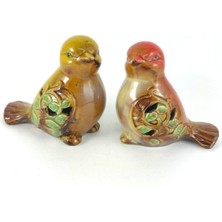 Renkli Çifte Kumrular