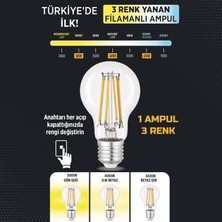 Heka 3 Renkli LED Filament Rustik Ampul 6W E27 A60 ERD-261