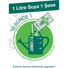 Florist Yeşil Yapraklı Bitkiler Sıvı Konsantre Bitki Besini