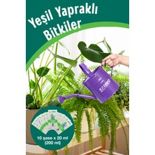 Florist Yeşil Yapraklı Bitkiler Sıvı Konsantre Bitki Besini