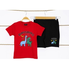 Erkek Çocuk Şortlu Takım