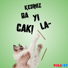 Kedilerin Bayıldığı Naneli ve Gall Meyveli Matatabi Stick 4'lü