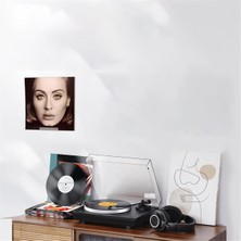 RelicRealm 12 Adet Vinil Plak Rafı Duvar Montajı 4 Inç Şeffaf Albüm Plak Tutucu (Yurt Dışından)