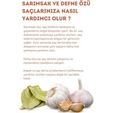 Hunca Care Defne ve Sarımsaklı Şampuan 3 Adet x 675 ml