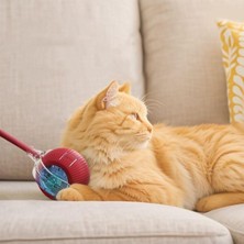 Şarjlı Otomatik Hareketli Kedi Köpek Için 360 Derece Dönen Interaktif Akıllı Oyun Topu
