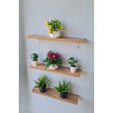 Green Life Design Metal Ayaklı Çok Amaçlı Duvar Rafı 3 Lü Set Duvar Rafı Çiçeklik Sukulent Rafı