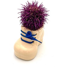 Eliosa Seramik Ayakkabı Figürlü Saksı-Renkli Kaktüs- Dekoratif Obje