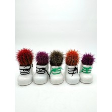 Eliosa 5li Seramik Ayakkabı Figürlü Saksı-Renkli Kaktüs-Dekoratif Obje