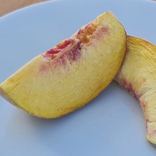 Frosse Şeftali Kıtırı - Freeze Dried - Üretici Firmadan Dondurularak Kurutulmuş Şeftali Cipsi 20 gr