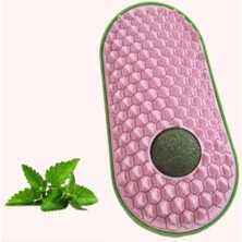 Silikon Kaşıyıcılı Kedi Otu