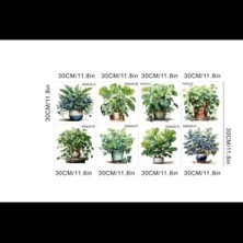 Akıllı Durak Ttt Tropikal Bitkiler Duvar Stickerı Model A