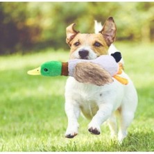 Sesli Ördek Şekilli Peluş Köpek Oyuncağı