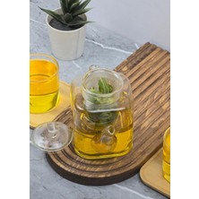 Hometarz Mini Boy Borosilikat Cam Demlik - Süzgeçli Cam Bitki Demliği - 400 ml