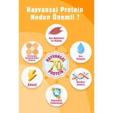 Foody Süper Premium Yetişkin Kedi Maması Kısır Steril ( Somonlu ) 1,5 Kg.