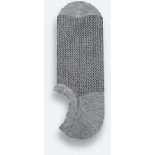 Avva Erkek Gri Pamuklu Sneaker Çorap A51Y8505