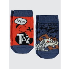 Tazmania Tazmanya Erkek Çocuk Patik Çorap 2-12 Yaş Turuncu