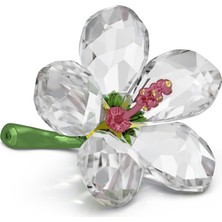 Swarovski 5690534 Swarovski Biblo Florere:hıbıscus S