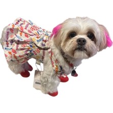 Gedyco Candy Fırfırlı Salopet Küçük Irk Köpek Elbisesi