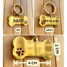 Loren Gift Isme Özel Çelik Kedi Köpek Isimlik Künyesi Gold