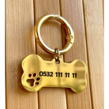 Loren Gift Isme Özel Çelik Kedi Köpek Isimlik Künyesi Gold