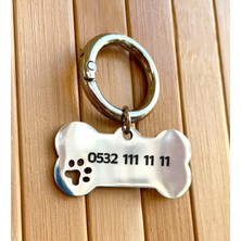 Loren Gift Isme Özel Çelik Kedi Köpek İsimlik Künyesi Gümüş