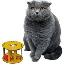Mergen Store Ahşap Kafes Renkli Toplu Kedi Patisi Desenli Sesli Kedi Oyuncağı