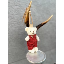 TREND COLOR Oto Koku, Araç Kokusu, Premium Koku Çeşitleri, Elbiseli Peluş Erkek Ayıcıklı, Araç Hediyelik Kalıcı Koku