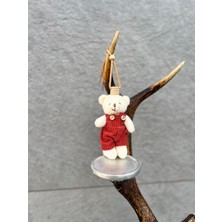 TREND COLOR Oto Koku, Araç Kokusu, Premium Koku Çeşitleri, Elbiseli Peluş Erkek Ayıcıklı, Araç Hediyelik Kalıcı Koku