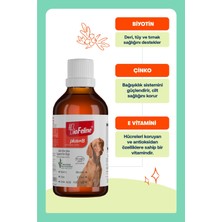 Köpekler Için Biotin ve Çinko Içeren Tüy Dökülmesini Azaltıcı Plus B Damla 50 ml