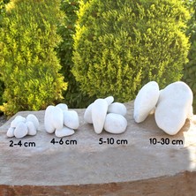 Beyaz Dolomit Taş 25 kg 6-10CM Dolomit Taşı Bahçe Süs Akvaryum Taşı Taşı Dere Çakıl Dekor Mezar Taşı
