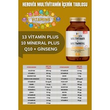 Herovix Multivitamin & Multimineral 60 Tablet (13 Vitamin | 10 Mineral | Q10 + Ginseng)