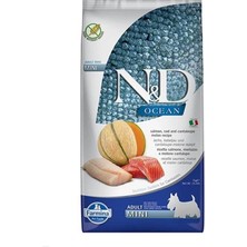 N&d Ocean Somon ve Morina Kavunlu Mini Irk Köpek Maması 2,5 kg