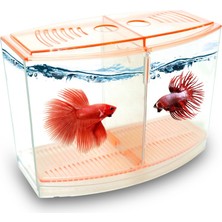 Atlantik Betalık 9X19X14CM 1800 ml Beta Tank