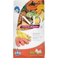 Nd N&d Tropical Selection Somonlu ve Tropikal Meyveli Mini Irk Yetişkin Köpek Maması 1,5 kg
