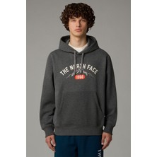 The North Face Erkek Hoodie Varsity Graphic Sweatshirt Gri