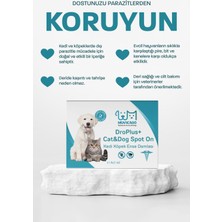 Kedi Köpek Dış Parazit Ense Deri Damlası - Bit Kene Pire Deri Bakımı Bitkisel Damla 4x1 ml ( Köpek ve Kedi İç Dış Parazit Damlası Harici Kullanım)