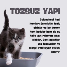 Fame Enerji % 100 Çam Peleti / Kedi Kumu 5 Lt 6 mm