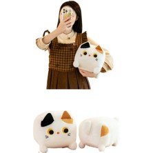 Umi 30CM Kare Kedi Peluş Oyuncak Sevimli Kedi Yastık (Yurt Dışından)