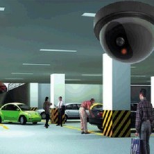 Viberia Caydırıcı Dome Kamera