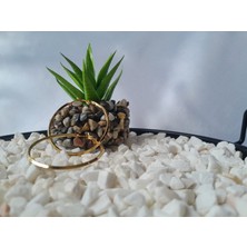 Stainless Steel Halka Çelik Küpe