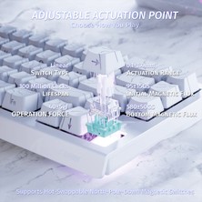Miaxtreme Attack Shark X68HE Rapid Trigger 0.125MS Manyatik Switch Rgb App Uygulamalı Gaming Oyuncu Klavye