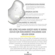 Harrem Bio Aging Kuru ve Karma Ciltler Için Nemlendirici Hyalüronik Asit Kolajen Serum 30 ml